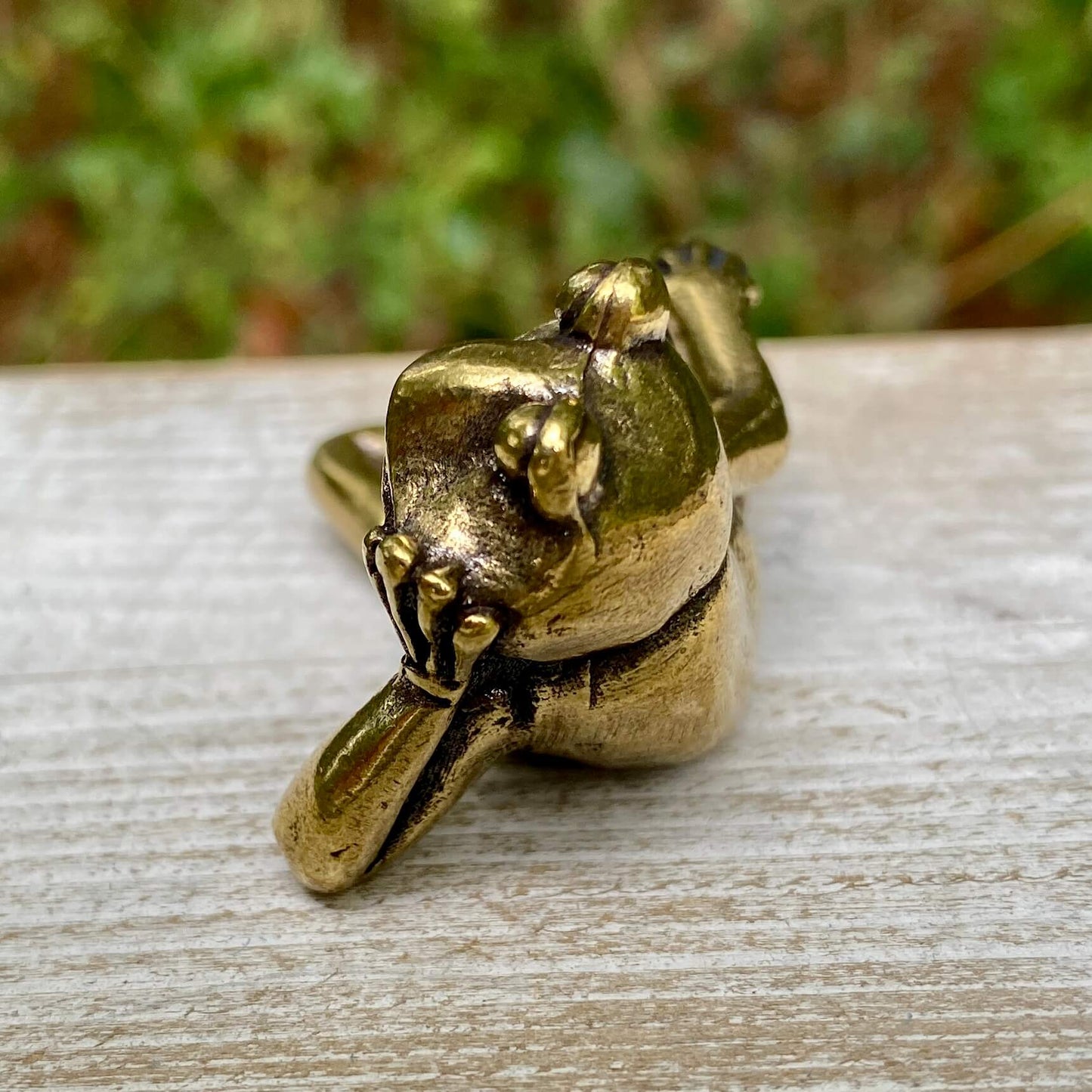 Lounging Frog