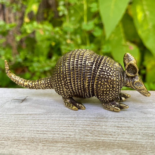 Armadillo - Symbol of Protection, Resilience, and Grounded Energy