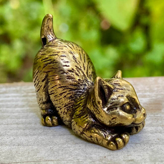 Cat Stretching
