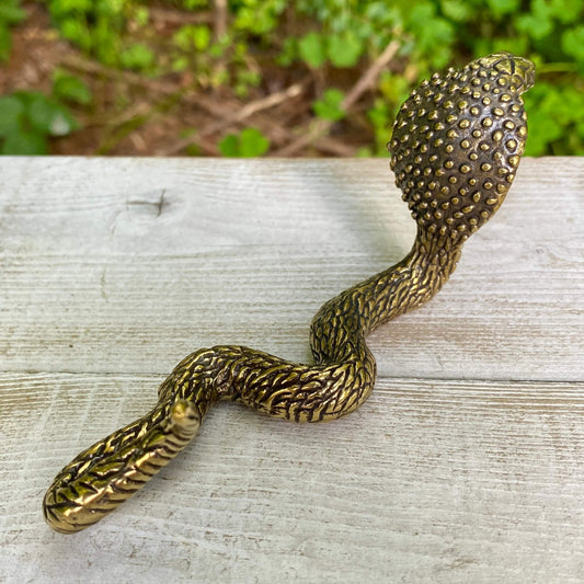 Cobra Snake - Symbol of Transformation, Power & Protection