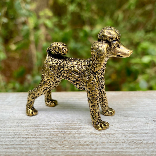 Poodle Dog