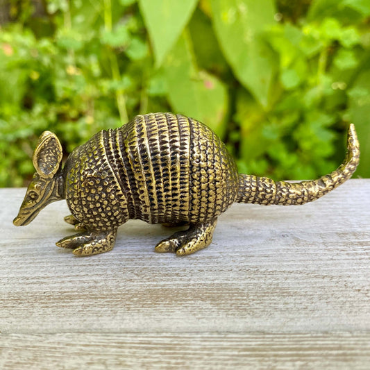 Armadillo - Symbol of Protection, Resilience, and Grounded Energy