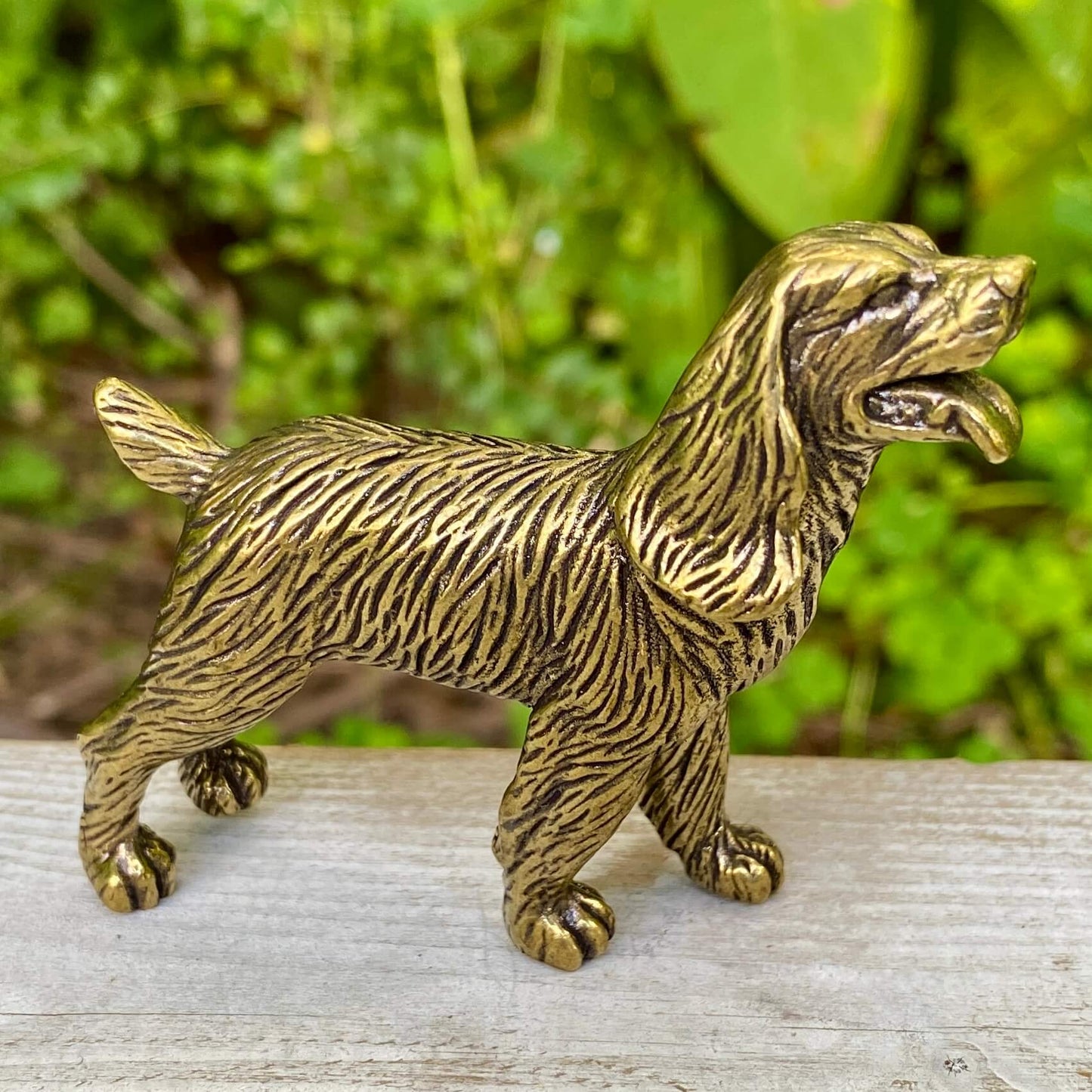 Cocker Spaniel Dog