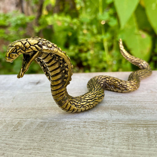 Cobra Snake - Symbol of Transformation, Power & Protection