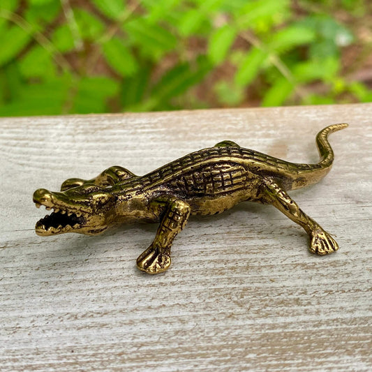 Alligator