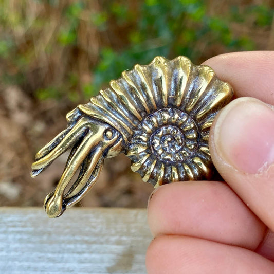 Solid brass ammonite fossil with Fibonacci spiral, symbolizing ancient origins and evolution, crafted by Wild Brass.