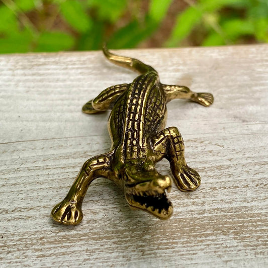 Alligator