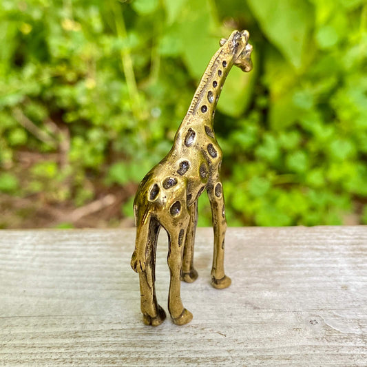 Giraffe - Symbol of Wisdom, Protection & Power