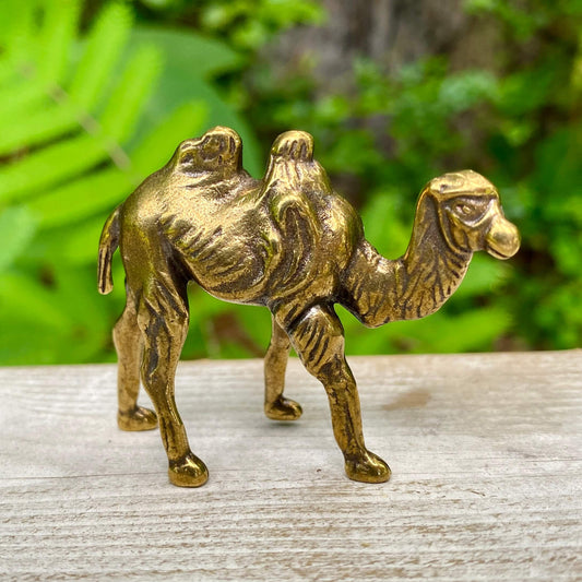 Camel