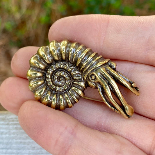 Solid brass ammonite pendant featuring Fibonacci spiral design, symbol of ancient origins and evolution by Wild Brass.