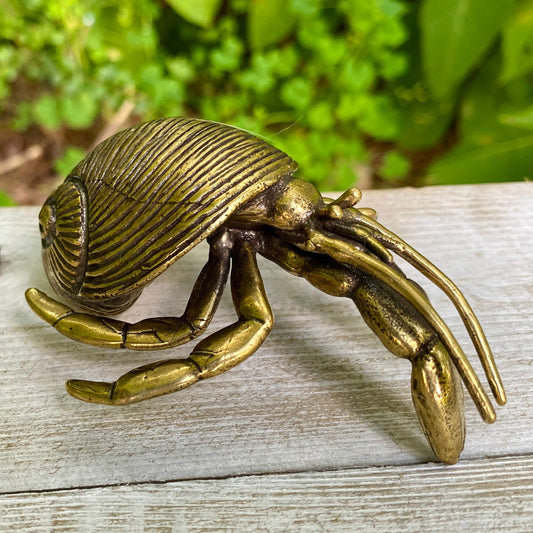 Hermit Crab